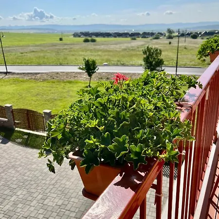 Privat U Eriky Gæstehus Stará Lesná