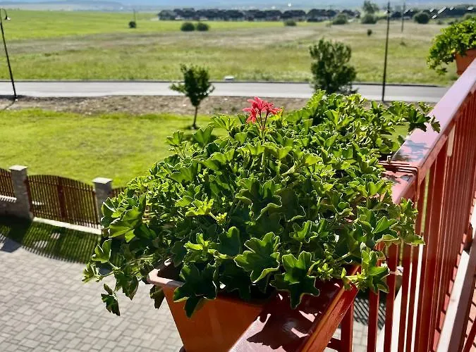 Privat U Eriky Penzion Stará Lesná